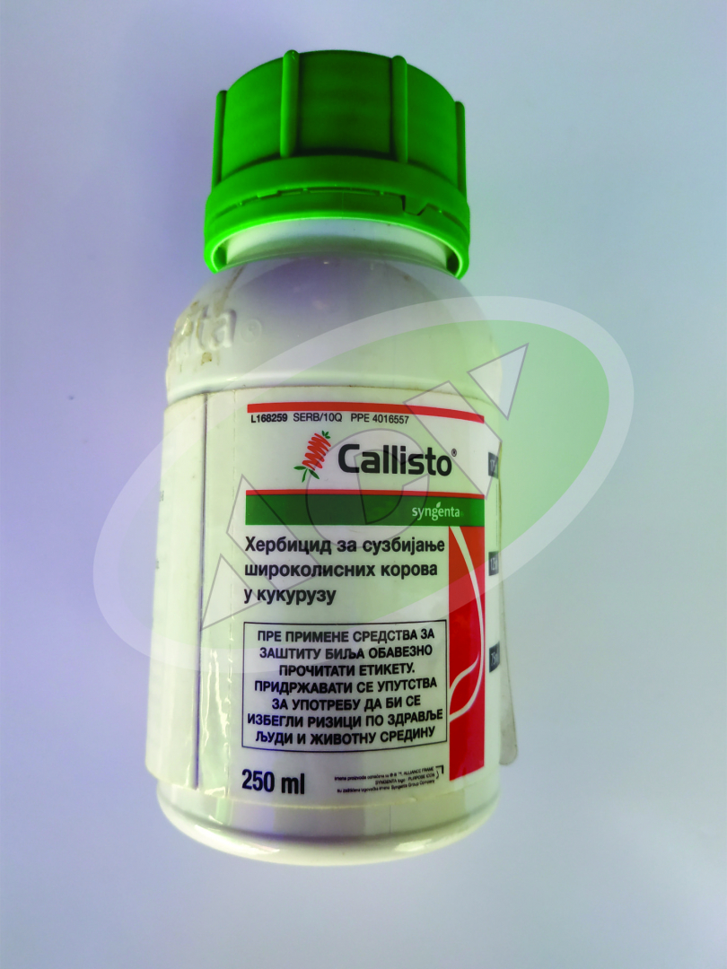KALISTO 250ML